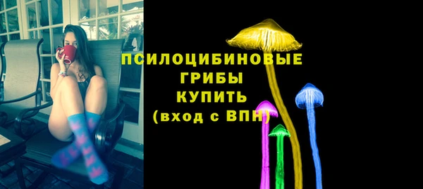 экстази Арсеньев