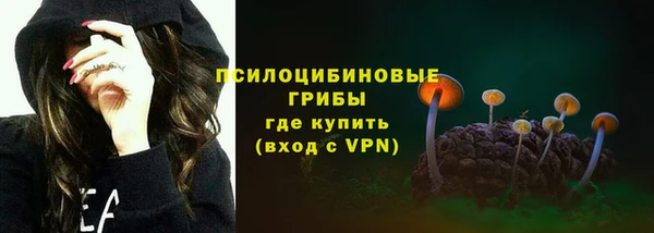 экстази Арсеньев