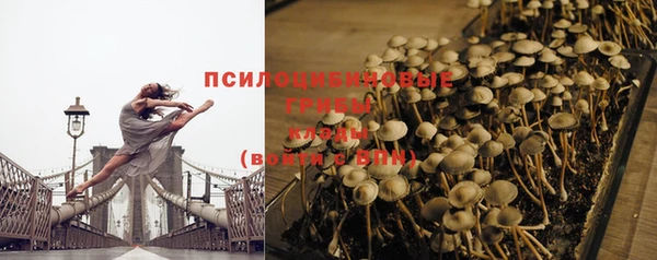 прущая мука Армянск