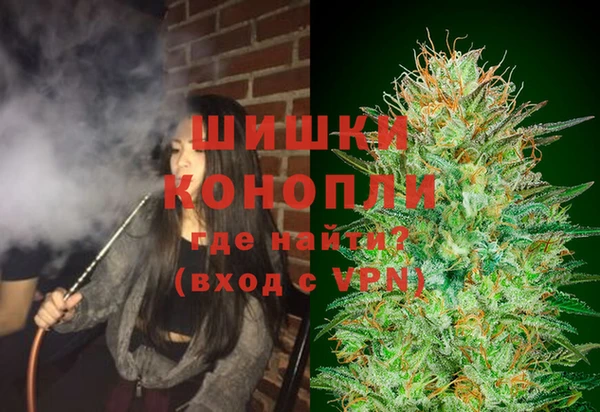 ALPHA PVP Остров