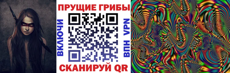 магазин продажи   Суровикино  Псилоцибиновые грибы Magic Shrooms 